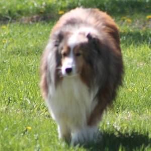 Meet your Posher, William